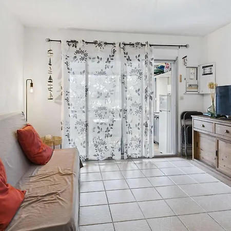 Avec Terrasse Et Parking Prive A Marseillan-plage - Fr-1-326-852